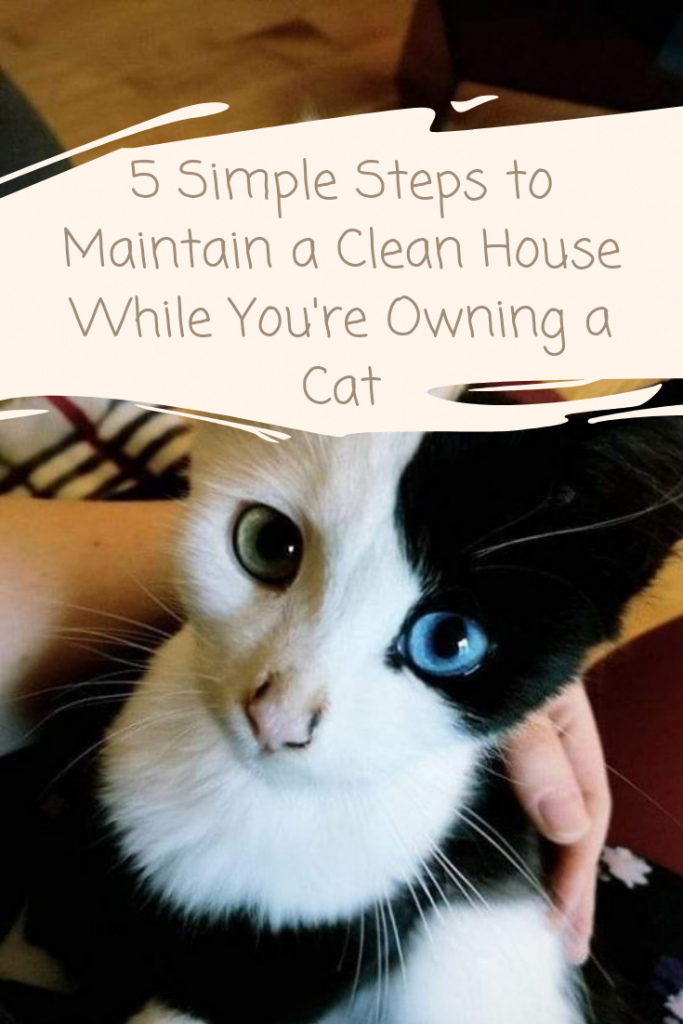 owning a cat